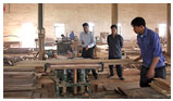  Sản xuất gỗ dán,  gỗ lạng, ván ép và ván mỏng khác 